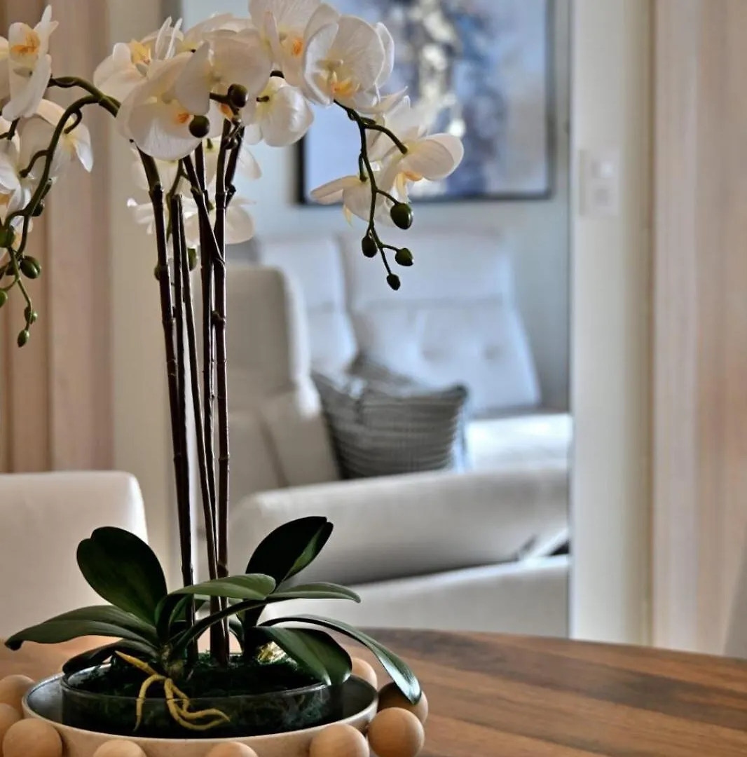 Exclusive Apartment In Punta Cana! Repubblica Dominicana